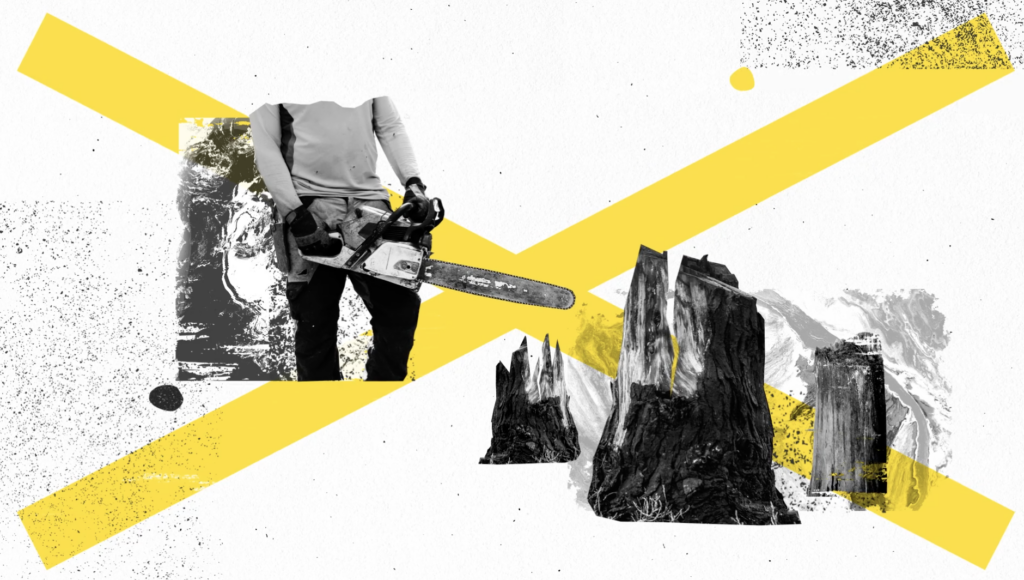 Good Energy Campaign