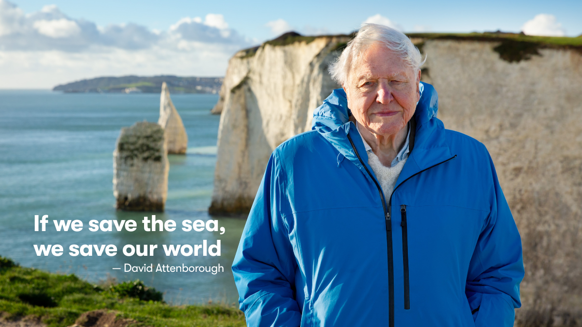 David Attenborough Quote, Oceans, Marine Conservation