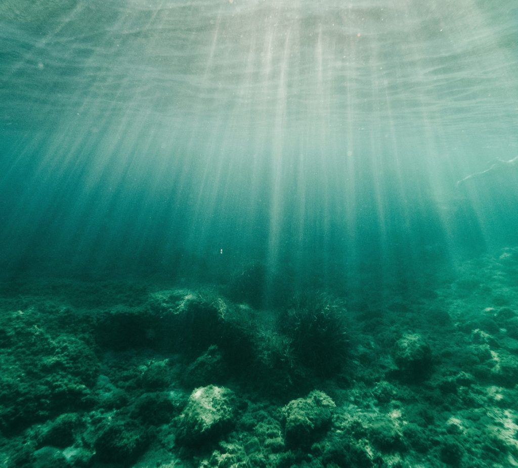 Oceans, world oceans day, underwater